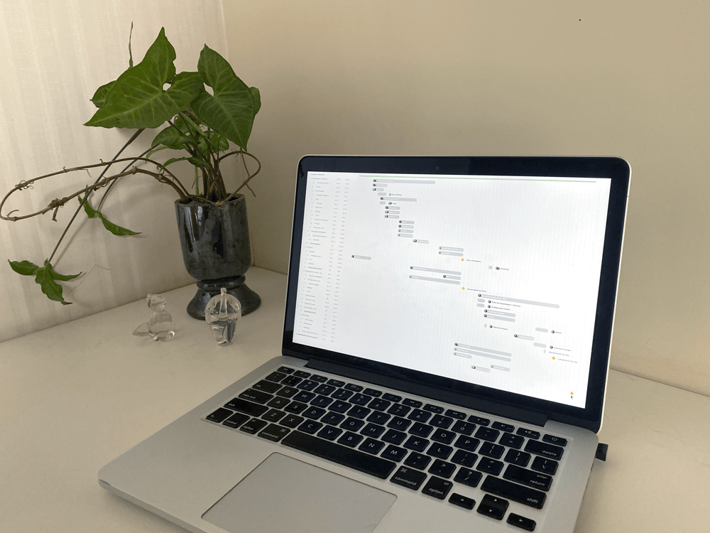 Roadmap: Como organizar os seus projetos em 2021?